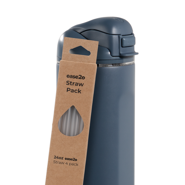 Ease2o Straws 4 Pack 24oz O1